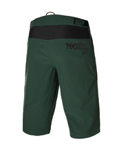 Shorts ROC LITE green