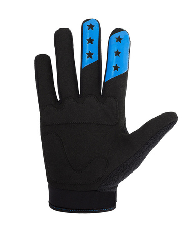 Gloves EVO blue